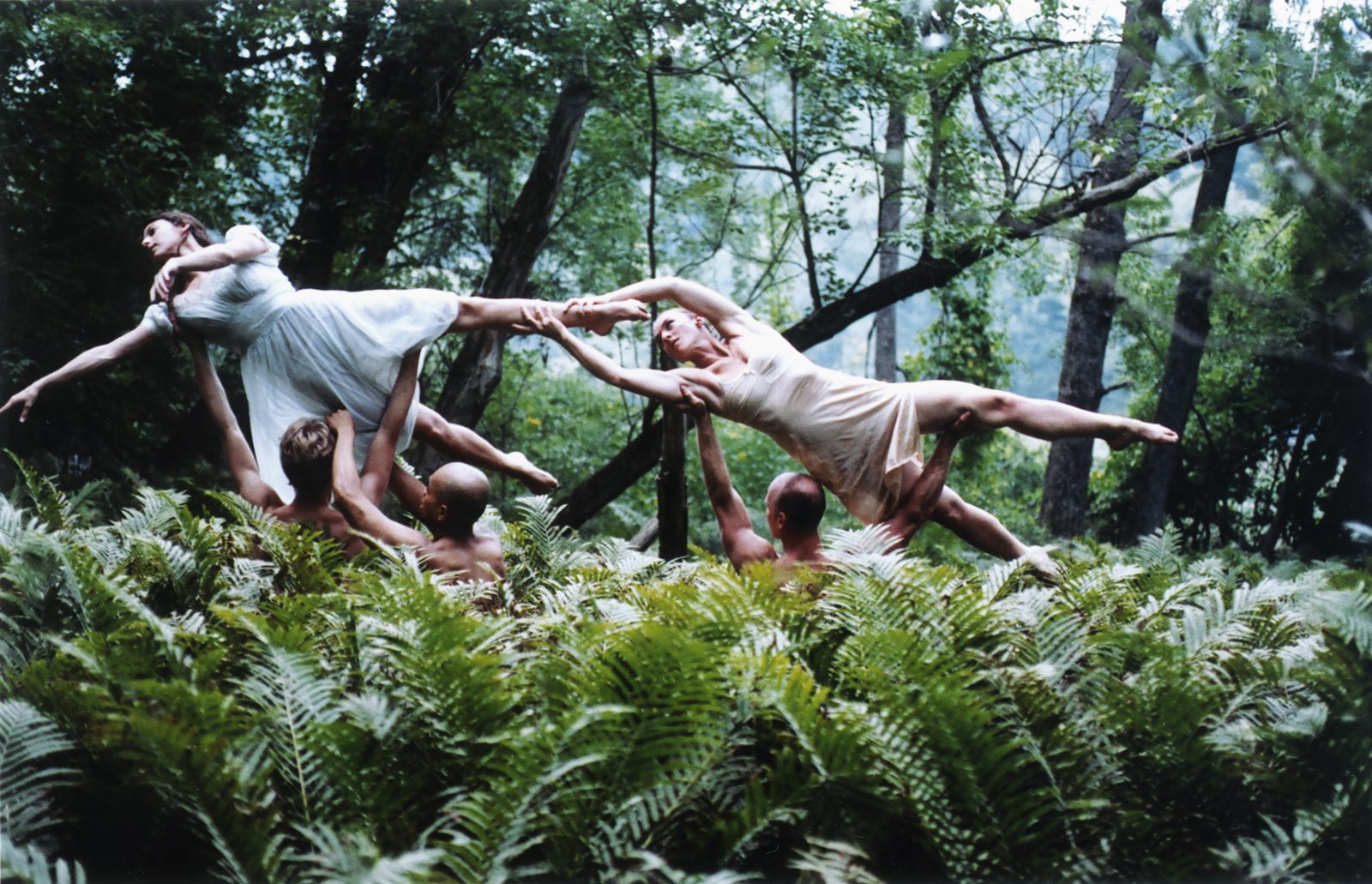 Dance Community — plate 1